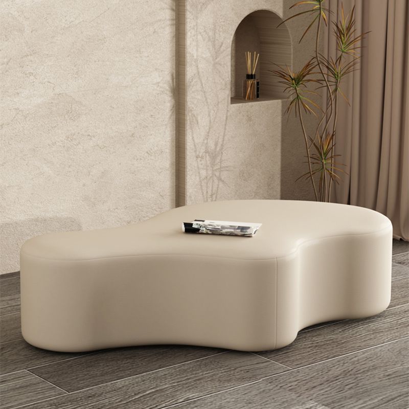 Modern Bedroom Entryway Bench Solid Wood Upholstered Seating Bench Clearhalo 'Benches' 'Chairs & Seating' 'furn' 'furn_benches' 'Furniture' 'Living Room Furniture' 1200x1200_4f8370e3-25a2-48a7-a891-fdc494affe0b