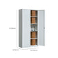Metal File Cabinet Contemporary Storage Shelves Locking File Cabinet for Office