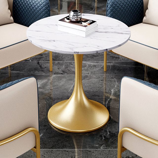 Round Tulip Base Luxury Dining Table White Fixed Table with Sintered Stone Clearhalo ' dining_table' 'Dining Tables & Seating' 'Dining Tables' 'furn' 'furn_dining_table' 'Furniture' 'furniture_dining_table' 'Kitchen & Dining Furniture' 'kitchen&dining_furn' 'kitchen' 'kitchen_dining_table' 1200x1200_4fc9324d-0ca3-4ed7-819d-831f61bf4cda