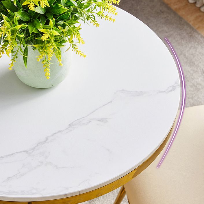 Round Table Dinette Table Traditional Luxury Dinner Room Table for Indoor Clearhalo ' dining_table' 'Dining Tables & Seating' 'Dining Tables' 'furn' 'furn_dining_table' 'Furniture' 'furniture_dining_table' 'Kitchen & Dining Furniture' 'kitchen&dining_furn' 'kitchen' 'kitchen_dining_table' 1200x1200_5001deae-b267-48a6-85e3-2ebc92199c18