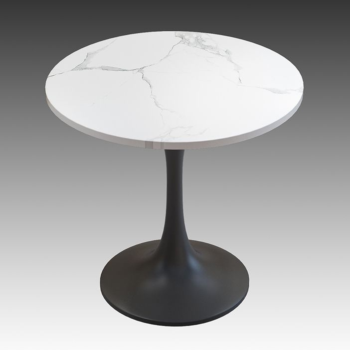Simple Style Sintered Stone Dining Table Tulip Base Round Table for Home Clearhalo ' dining_table' 'Dining Tables & Seating' 'Dining Tables' 'furn' 'furn_dining_table' 'Furniture' 'furniture_dining_table' 'Kitchen & Dining Furniture' 'kitchen&dining_furn' 'kitchen' 'kitchen_dining_table' 1200x1200_500eaef2-fd42-4953-b318-6124f14d81f5