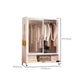 Glass Wardrobe Cabinet Modern Style Combination Armoire for Home Clearhalo 'Armoires & Wardrobes' 'armoires_wardrobes' 'Bedroom Furniture' 'furn' 'furn_armoires_wardrobes' 'Furniture' 1200x1200_5077ff61-1e35-4a19-a390-db41f8bdb63e