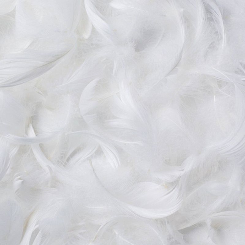 Contemporary Pillow Top Arm Settee Orange Faux Leather Sofa for Living Room Clearhalo 'furn' 'furn_sofas' 'Furniture' 'Living Room Furniture' 'Sofa' 'sofas' 1200x1200_5134c8c5-786f-4df4-a4fa-237e9c0821bd