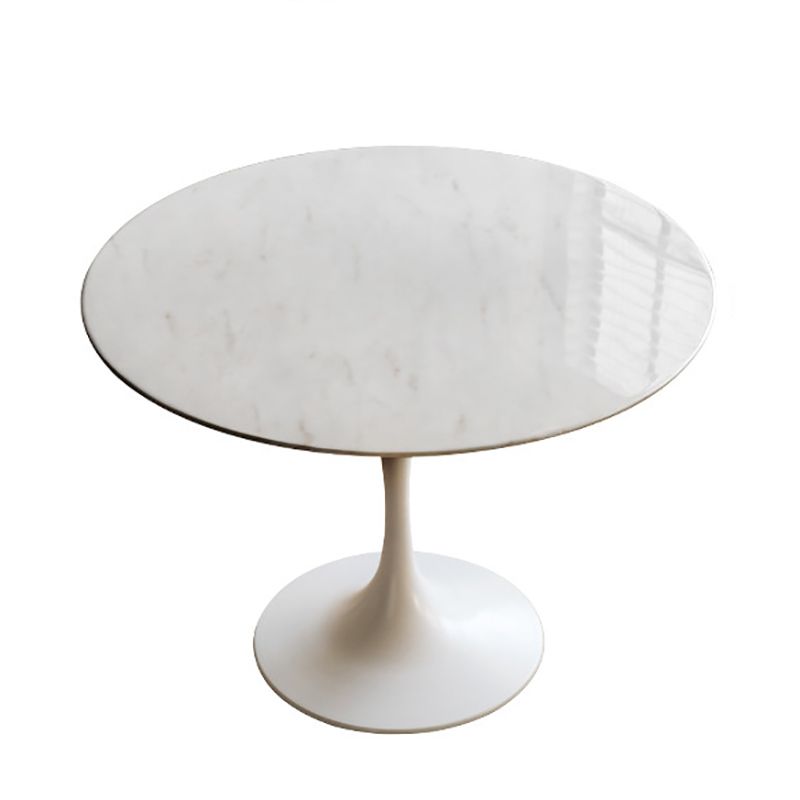 Round Top Dining Table Contemporary Table with Pedestal Base Clearhalo 'Dining Tables & Seating' 'Dining Tables' 'dining_table' 'Furniture' 'furniture_dining_table' 'Kitchen & Dining Furniture' 1200x1200_51398d6e-2d4b-4672-bc68-52ff42d5ee0e