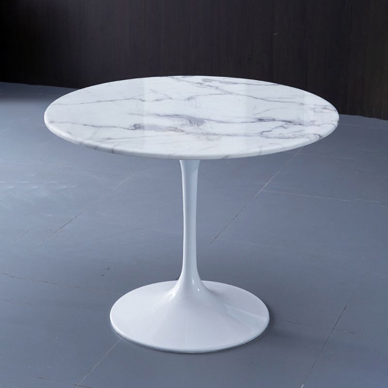 Modern 1/4/5 Pieces Sintered Stone Dining Set Dining Furniture Set /Separate Items Clearhalo 'Dining Room Sets' 'Dining Tables & Seating' 'dining_room_set' 'furn' 'furn_dining_room_set' 'Furniture' 'furniture_dining_room_set' 'Kitchen & Dining Furniture' 'kitchen&dining_furn' 'kitchen' 1200x1200_513efac5-dbc8-4107-b62f-c1c79e1916cd