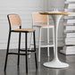 Contemporary Style Bar-stool Plastic Counter Bar Stool for Home Clearhalo 'Bar Furniture' 'Bar Stools' 'bar_stools' 'furn' 'furn_bar_stools' 'Furniture' 'furniture_bar_stools' 'Kitchen & Dining Furniture' 1200x1200_51570c63-0ced-4e06-926b-02dd38fc0e87