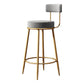Glam Armless Backrest Counter Stool Iron Household Bar Stool with Velvet Cushion and Pedal Clearhalo 'Bar Furniture' 'Bar Stools' 'bar_stools' 'furn' 'furn_bar_stools' 'furniture_bar_stools' 'Kitchen & Dining Furniture' 'kitchen&dining_furn' 'kitchen' 'kitchen_furn' Furniture' 1200x1200_5181c406-ad0b-4921-89d7-cc55b046f3c3