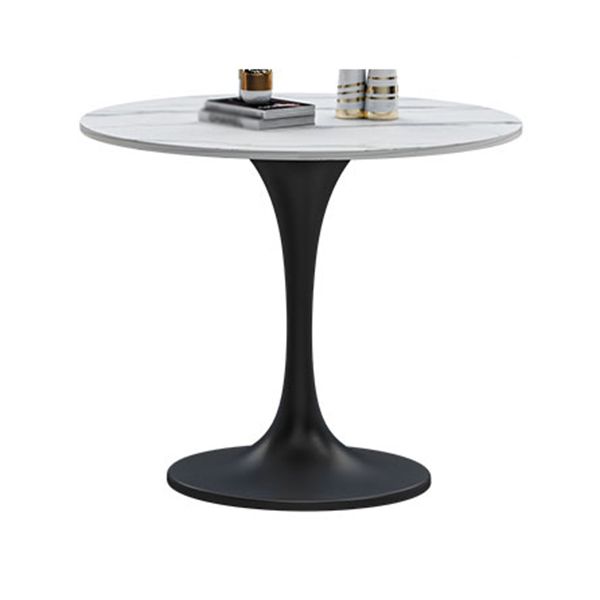 Stone Dining Site Table Contemporary Round Dining Table for Kitchen Home Clearhalo ' dining_table' 'Dining Tables & Seating' 'Dining Tables' 'furn' 'furn_dining_table' 'Furniture' 'furniture_dining_table' 'Kitchen & Dining Furniture' 'kitchen&dining_furn' 'kitchen' 'kitchen_dining_table' 1200x1200_521222aa-95f4-4b92-83b0-4495e2e8e12f