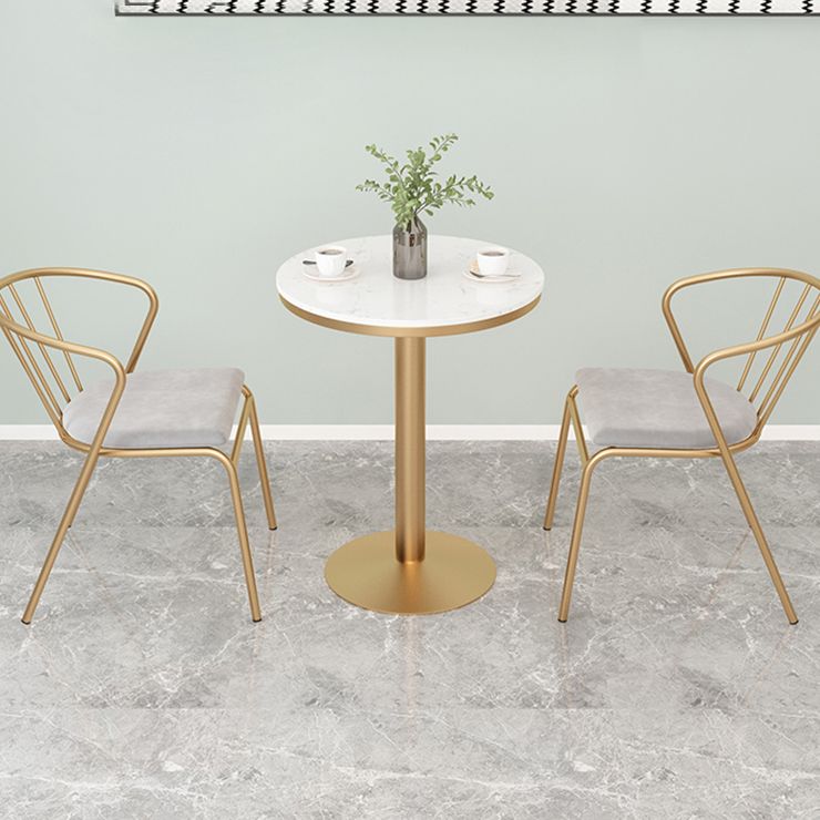 Metal Traditional Luxury Round Table White Stone Top Table with Pedestal Base Clearhalo 'Dining Tables & Seating' 'Dining Tables' 'dining_table' 'furn' 'furn_dining_table' 'Furniture' 'Kitchen & Dining Furniture' 1200x1200_52304bc9-d876-491b-8b38-97d5fc91b652