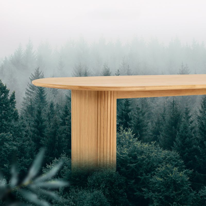 Modern Dinning Table Oval Solid Wood Furniture with Double Pedestal for Coffee Clearhalo 'Dining Tables & Seating' 'Dining Tables' 'dining_table' 'furn' 'furn_dining_table' 'Furniture' 'Kitchen & Dining Furniture' 1200x1200_524c69bc-c3aa-4b26-960b-fba68922d27e