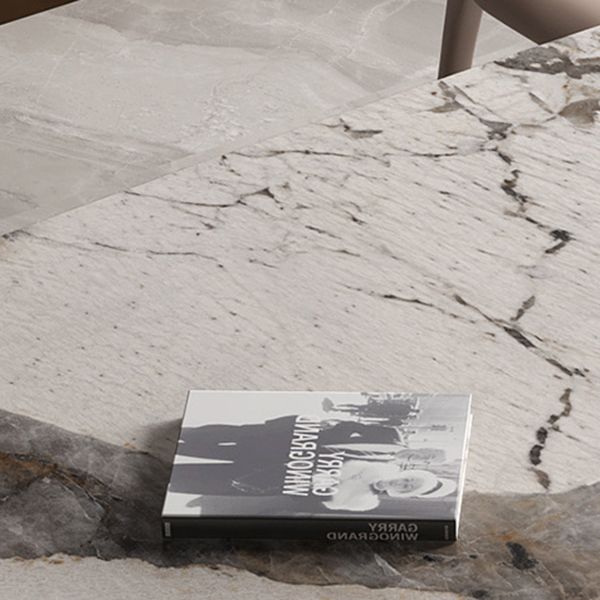 Modern Style Sintered Stone Dining Set Rectangle 1/2/4/7 Pieces Dining Set Clearhalo 'Dining Room Sets' 'Dining Tables & Seating' 'dining_room_set' 'furn' 'furn_dining_room_set' 'Furniture' 'Kitchen & Dining Furniture' 1200x1200_5295b108-88bf-403a-9931-9347ad8f9796