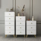 Contemporary Wooden Chest in White, Rectangle Accent Chest with Drawers