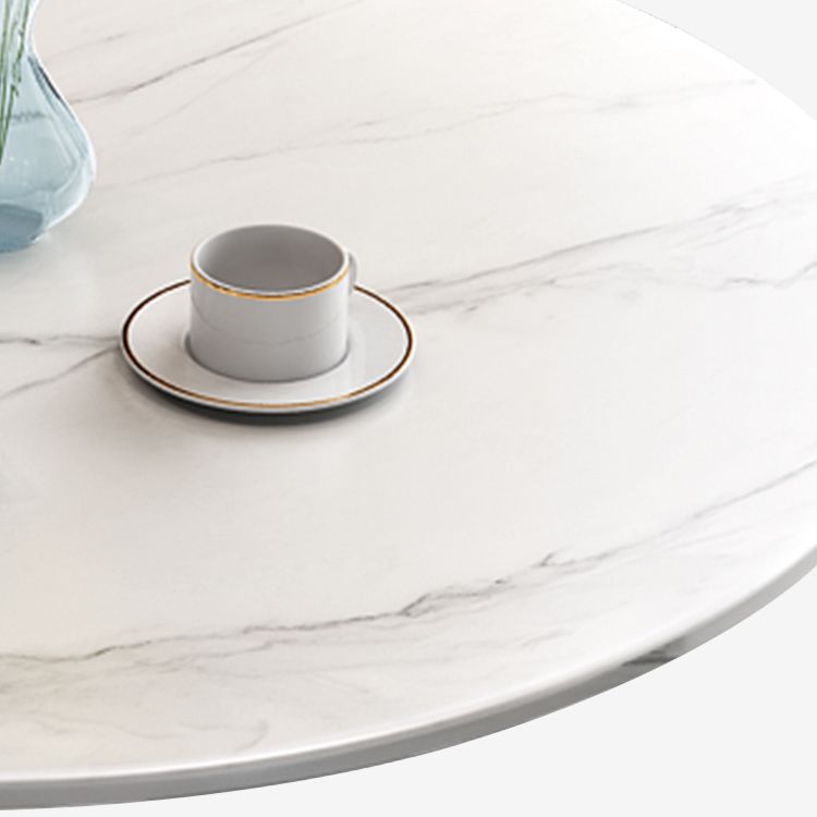 Modern Round Dining Table Sintered Stone Dining Table with Tulip Base for Dining Room Clearhalo ' dining_table' 'Dining Tables & Seating' 'Dining Tables' 'furn' 'furn_dining_table' 'Furniture' 'furniture_dining_table' 'Kitchen & Dining Furniture' 'kitchen&dining_furn' 'kitchen' 'kitchen_dining_table' 1200x1200_534dd8df-a453-42f2-93d0-2899a65ca44b