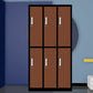 Matte Finish Cabinet with Metal Door Modern Hinged Door Wardrobe