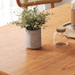 Dinner Kitchen Table Dining Room Rectangle Wood Top Dining Table