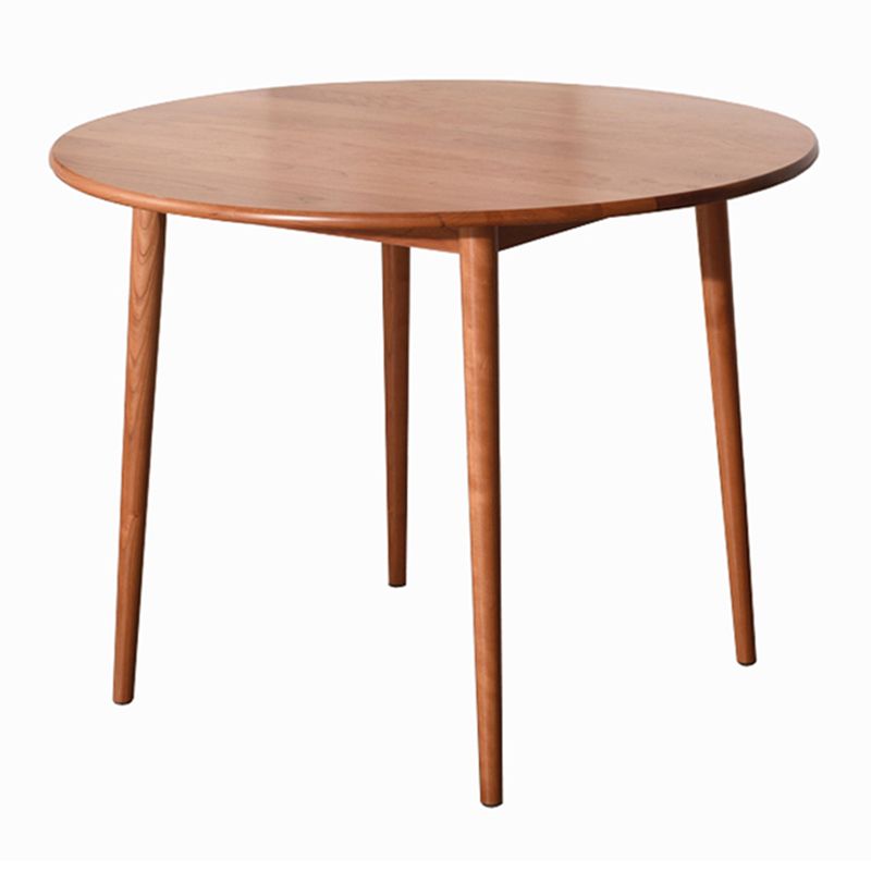 Solid Wood Double Pedestal Dining Table Simplicity Style Round Dinette Table Clearhalo ' dining_table' 'Dining Tables & Seating' 'Dining Tables' 'furn' 'furn_dining_table' 'Furniture' 'furniture_dining_table' 'Kitchen & Dining Furniture' 'kitchen&dining_furn' 'kitchen' 'kitchen_dining_table' 1200x1200_5408c066-9889-4b7b-8110-bd67e920fe55
