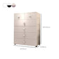 Plastic Non-Hanging Cabinet Contemporary Matte Finish Armoire
