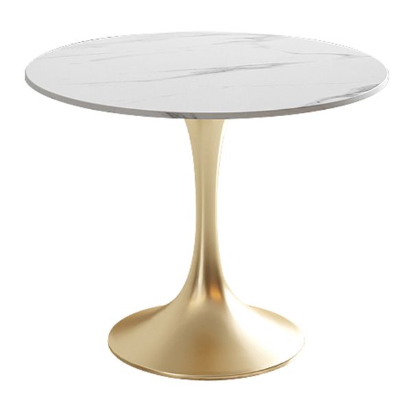 Modern White Round Shape Dining Table Sintered Stone Standard Dining Table with Tulip Base Clearhalo ' dining_table' 'Dining Tables & Seating' 'Dining Tables' 'furn' 'furn_dining_table' 'Furniture' 'furniture_dining_table' 'Kitchen & Dining Furniture' 'kitchen&dining_furn' 'kitchen' 'kitchen_dining_table' 1200x1200_54959537-67a8-4483-8c0f-6d94cf359b4f