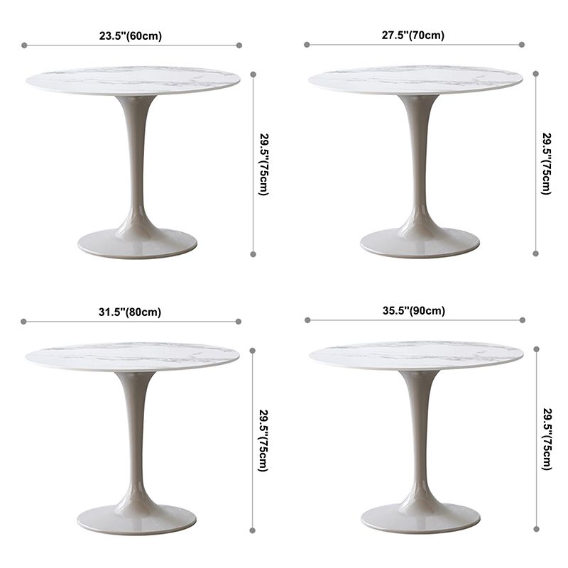 Contemporary Style Home Sintered Stone Dining Table Round Table with Tulip Base Clearhalo ' dining_table' 'Dining Tables & Seating' 'Dining Tables' 'furn' 'furn_dining_table' 'Furniture' 'furniture_dining_table' 'Kitchen & Dining Furniture' 'kitchen&dining_furn' 'kitchen' 'kitchen_dining_table' 1200x1200_54982ab1-cc1f-4514-a6bf-c77b4b476d95