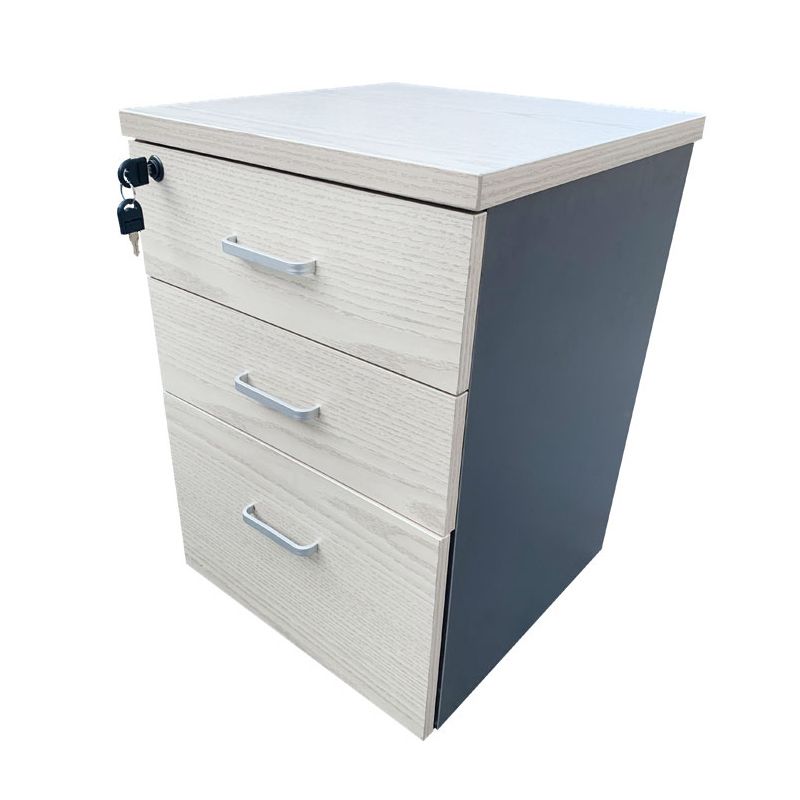 Contemporary Style Vertical Filing Cabinet Wood Filing Cabinet with Locking Storage Clearhalo 'Filing Cabinets' 'filling_cabinets' 'furn' 'furn_filling_cabinets' 'Furniture' 'Office Furniture' 1200x1200_55450161-922a-4290-a4e2-f4d0db52c497