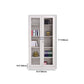Contemporary File Cabinets Metal Frame Fireproof Vertical File Cabinet with Key Lock