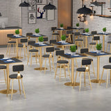 Chaises de salle à manger rembourrées