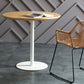Wooden Top Dining Table Modern Round Dining Table with Metal Base Clearhalo 'Dining Tables & Seating' 'Dining Tables' 'dining_table' 'furn' 'furn_dining_table' 'Furniture' 'furniture_dining_table' 'Kitchen & Dining Furniture' 'kitchen' 'kitchen_dining_table' 1200x1200_569f3406-1f60-4dd6-a42f-3a2ec3cee4c7
