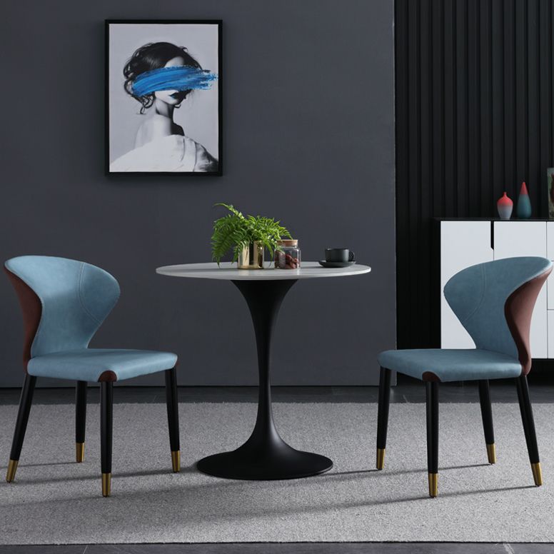 Contemporary Style Sintered Stone Dining Table Metallic Tulip Base Round Table for Home Clearhalo ' dining_table' 'Dining Tables & Seating' 'Dining Tables' 'furn' 'furn_dining_table' 'Furniture' 'furniture_dining_table' 'Kitchen & Dining Furniture' 'kitchen&dining_furn' 'kitchen' 'kitchen_dining_table' 1200x1200_5716c790-f04b-4390-859e-cf76d0158439