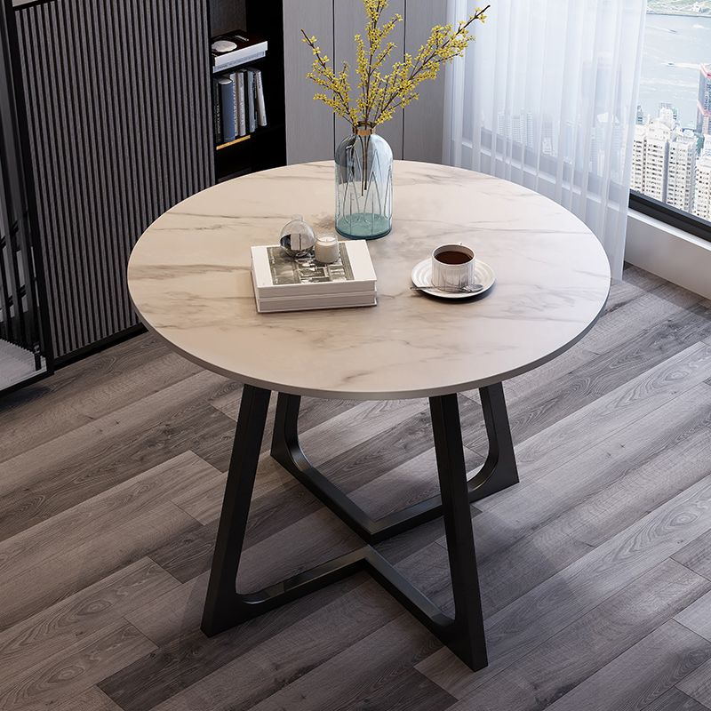 Traditional Luxury Round Dining Room Table Sintered Stone Table with Double Pedestal Clearhalo ' dining_table' 'Dining Tables & Seating' 'Dining Tables' 'furn' 'furn_dining_table' 'Furniture' 'furniture_dining_table' 'Kitchen & Dining Furniture' 'kitchen&dining_furn' 'kitchen' 'kitchen_dining_table' 1200x1200_579aa971-ad46-4d69-9e6e-89f6c02f24fc