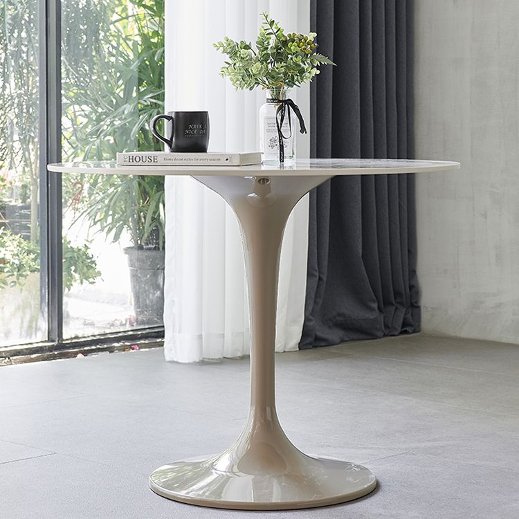 Contemporary Style Home Sintered Stone Dining Table Round Table with Tulip Base Clearhalo ' dining_table' 'Dining Tables & Seating' 'Dining Tables' 'furn' 'furn_dining_table' 'Furniture' 'furniture_dining_table' 'Kitchen & Dining Furniture' 'kitchen&dining_furn' 'kitchen' 'kitchen_dining_table' 1200x1200_57f1728e-59da-4115-a024-4318d11a1def