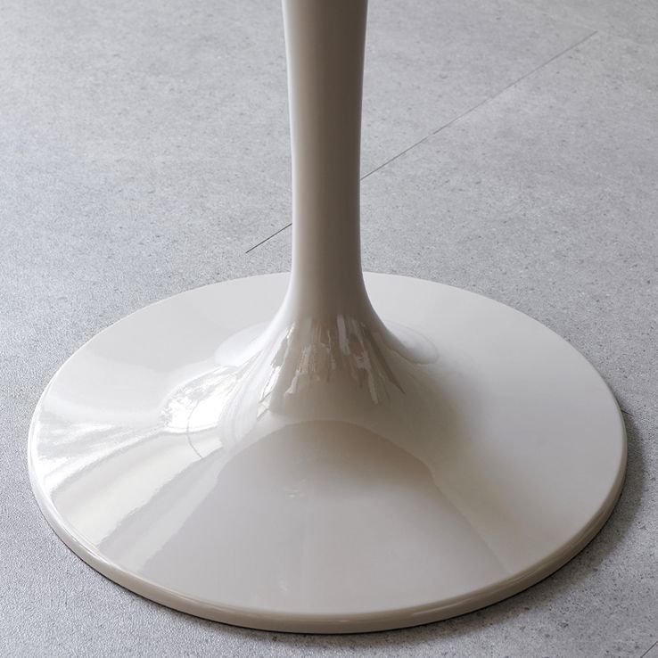 Contemporary Style Home Sintered Stone Dining Table Round Table with Tulip Base Clearhalo ' dining_table' 'Dining Tables & Seating' 'Dining Tables' 'furn' 'furn_dining_table' 'Furniture' 'furniture_dining_table' 'Kitchen & Dining Furniture' 'kitchen&dining_furn' 'kitchen' 'kitchen_dining_table' 1200x1200_582bb784-b518-4931-a1aa-d09c67d59a7a