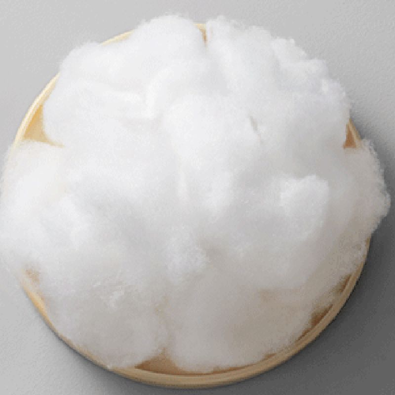 Stationary Cotton 2-seater Living Room Square Arm Cushions Sofa Clearhalo 'furn' 'furn_sofas' 'Furniture' 'Living Room Furniture' 'Sofa' 'sofas' 1200x1200_5857a443-d60e-4cf7-883d-26928828d051