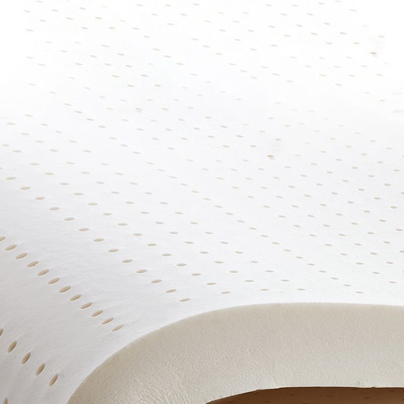 Cotton Blend Contemporary Convertible Bed Sofa Couch with Pillows Clearhalo 'furn' 'furn_sofas' 'Furniture' 'Living Room Furniture' 'Sofa' 'sofas' 1200x1200_5936fd37-cb6a-430f-bf9d-5a70a22654ec