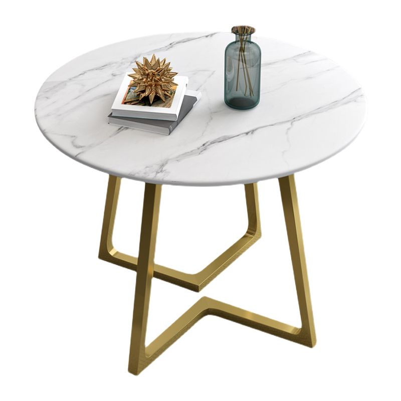Contemporary Round Dining Table Sintered Stone Dining Table for Dining Room Clearhalo ' dining_table' 'Dining Tables & Seating' 'Dining Tables' 'furn' 'furn_dining_table' 'Furniture' 'furniture_dining_table' 'Kitchen & Dining Furniture' 'kitchen&dining_furn' 'kitchen' 'kitchen_dining_table' 1200x1200_59acdc8e-07af-4aba-bd2a-d0276a658055