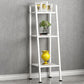 Modern Style Ladder Bookshelf Open Back Metal Bookcase for Home Clearhalo 'Bookcases' 'furn' 'furn_bookcases' 'Furniture' 'Office Furniture' 1200x1200_5a039005-1ffe-4094-8378-3964ae4487a7