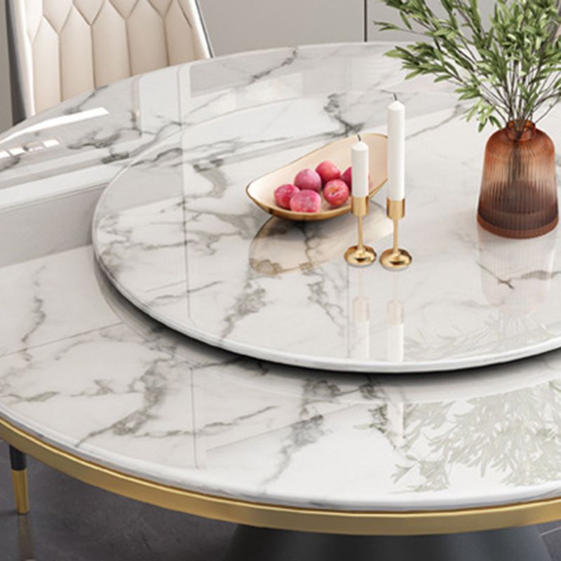 Sintered Stone Dining Room Table Pedestal Dining Table for Dining Room Clearhalo 'Dining Tables & Seating' 'Dining Tables' 'dining_table' 'furn' 'furn_dining_table' 'Furniture' 'Kitchen & Dining Furniture' 1200x1200_5a2370c1-b219-4d52-8bed-c8004f58fbce