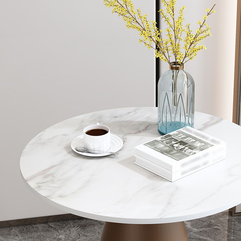Round Stone Dining Table Modern Living Room Pedestal Casual Dining Table Clearhalo ' dining_table' 'Dining Tables & Seating' 'Dining Tables' 'furn' 'furn_dining_table' 'Furniture' 'furniture_dining_table' 'Kitchen & Dining Furniture' 'kitchen&dining_furn' 'kitchen' 'kitchen_dining_table' 1200x1200_5a5b7102-44e4-4e41-8963-a7bb272eeee6
