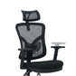 Modern Computer Chair Adjustable Arms Chair Lumbar Support Chair