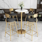 Contemporary Dining Stools Glam Metal Bar Stools with Footrest