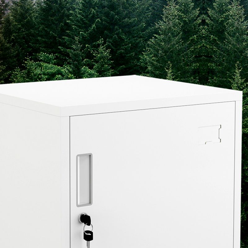 Traditional Metal Cabinet with Lock and Storage File Cabinet for Office Clearhalo 'Filing Cabinets' 'filling_cabinets' 'furn' 'furn_filling_cabinets' 'Furniture' 'Office Furniture' 1200x1200_5b51a3fc-e9d2-41ad-8d60-1465619bf136