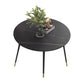 Luxury Style Home Sintered Stone Dining Table 4 Legs Metallic Base Round Table Clearhalo ' dining_table' 'Dining Tables & Seating' 'Dining Tables' 'furn' 'furn_dining_table' 'Furniture' 'furniture_dining_table' 'Kitchen & Dining Furniture' 'kitchen&dining_furn' 'kitchen' 'kitchen_dining_table' 1200x1200_5b55e03d-b49c-4e20-83e0-1890e2ca3b08