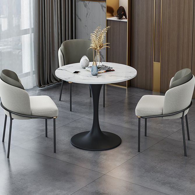 Modern Round Dining Table Sintered Stone Table with Tulip Base Clearhalo 'Dining Tables & Seating' 'Dining Tables' 'dining_table' 'furn' 'furn_dining_table' 'Furniture' 'Kitchen & Dining Furniture' 1200x1200_5b5970a7-7284-47bc-804b-b5a7b85110ee