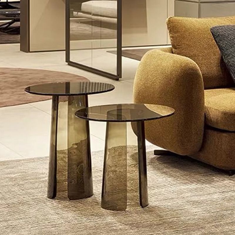 Contemporary Round Side End Table, Clear Pedestal End Table for Living Room Clearhalo 'Coffee & Accent Tables' 'End & Side Tables' 'end_side_table' 'end_side_tables' 'furn' 'furn_end_side_tables' 'Furniture' 'furniture_end_side_table' 'Living Room Furniture' 1200x1200_5bb074a5-fbd3-40d4-b6d5-79217e9372b4