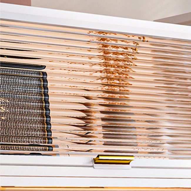 Modern Style Bookshelf Metal Closed Back Bookcase with Door for Home Office Clearhalo 'Bookcases' 'furn' 'furn_bookcases' 'Furniture' 'Office Furniture' 1200x1200_5bfc1616-c178-4b2f-8993-378100bd2443