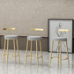 Glam Style Backrest Counter Stool Iron Cafe Bar Stool with Velvet Cushion and Pedal Clearhalo 'Bar Furniture' 'Bar Stools' 'bar_stools' 'furn' 'furn_bar_stools' 'Furniture' 'furniture_bar_stools' 'Kitchen & Dining Furniture' 1200x1200_5c377e79-a2b9-42e9-b031-2bd892e09851