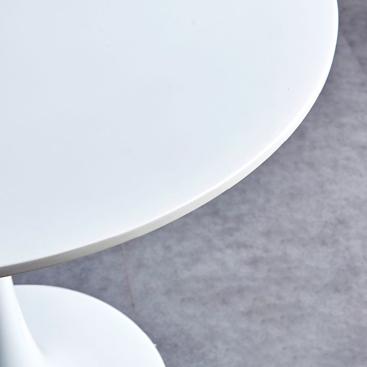 Round Modern Style Solid Wood Dining Table Dining Furniture with Tulip Base Clearhalo ' dining_table' 'Dining Tables & Seating' 'Dining Tables' 'furn' 'furn_dining_table' 'Furniture' 'furniture_dining_table' 'Kitchen & Dining Furniture' 'kitchen&dining_furn' 'kitchen' 'kitchen_dining_table' 1200x1200_5c909f2c-824d-4bd8-804a-165635fb482d