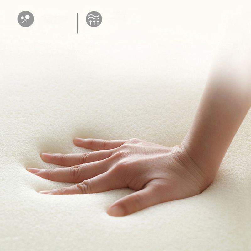 Divano a curvo in velluto contemporaneo di divano a braccio inclinata.