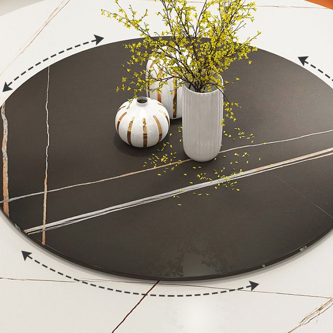 Modern Style Sintered Stone Dining Table Single Pedestal Base Round Table for Home with Turntable Clearhalo ' dining_table' 'Dining Tables & Seating' 'Dining Tables' 'furn' 'furn_dining_table' 'Furniture' 'furniture_dining_table' 'Kitchen & Dining Furniture' 'kitchen&dining_furn' 'kitchen' 'kitchen_dining_table' 1200x1200_5cc438dc-999e-4424-9947-0a3c73acabc2