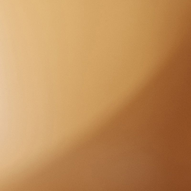 Silla de comedor de ala de cuero de estilo PU de estilo moderno para interiores