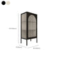Contemporary Curio Cabinet Metal Storage Cabinet for Living Room